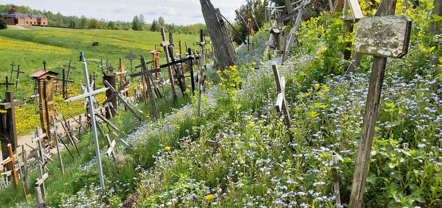 STEBUKLINGŲJŲ VIETŲ KELIAS: NUO KRYŽIŲ KALNO IKI PAT ŠILUVOS