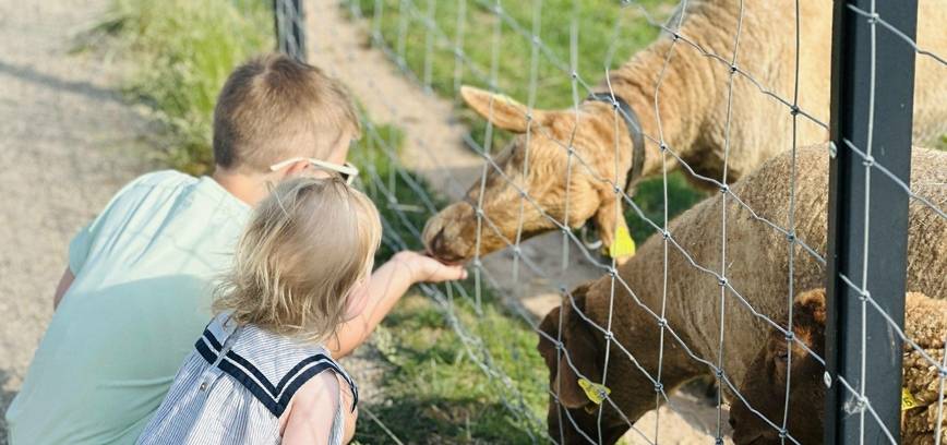 Gyvūnų ūkiai ir parkai Šiaulių rajone - kelionės su vaikais