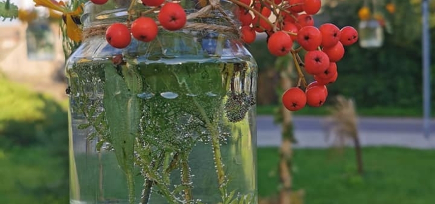 Turizmo dienos proga – Šiaulių rajono turizmo ir verslo informacijos centro metų apžvalga