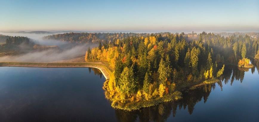 Summer beauty in water bodies