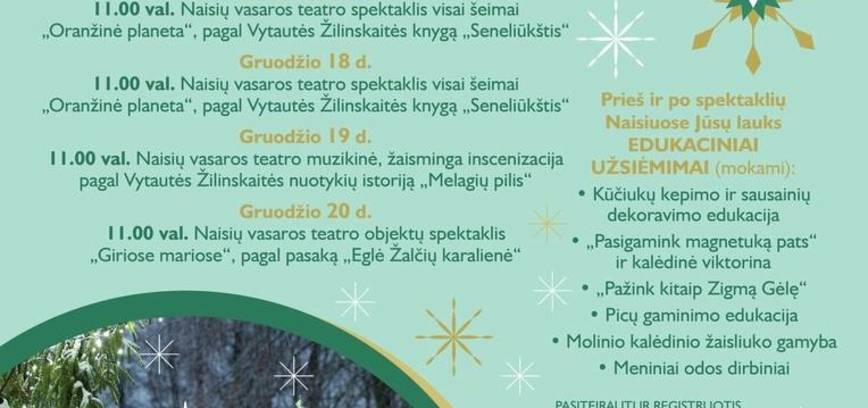 Kalėdų belaukiant NAISIUOSE 2024